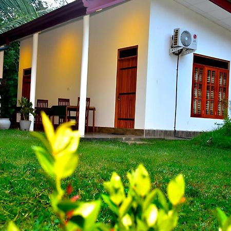 Little Ele Safari Lodge 达瓦拉维 外观 照片