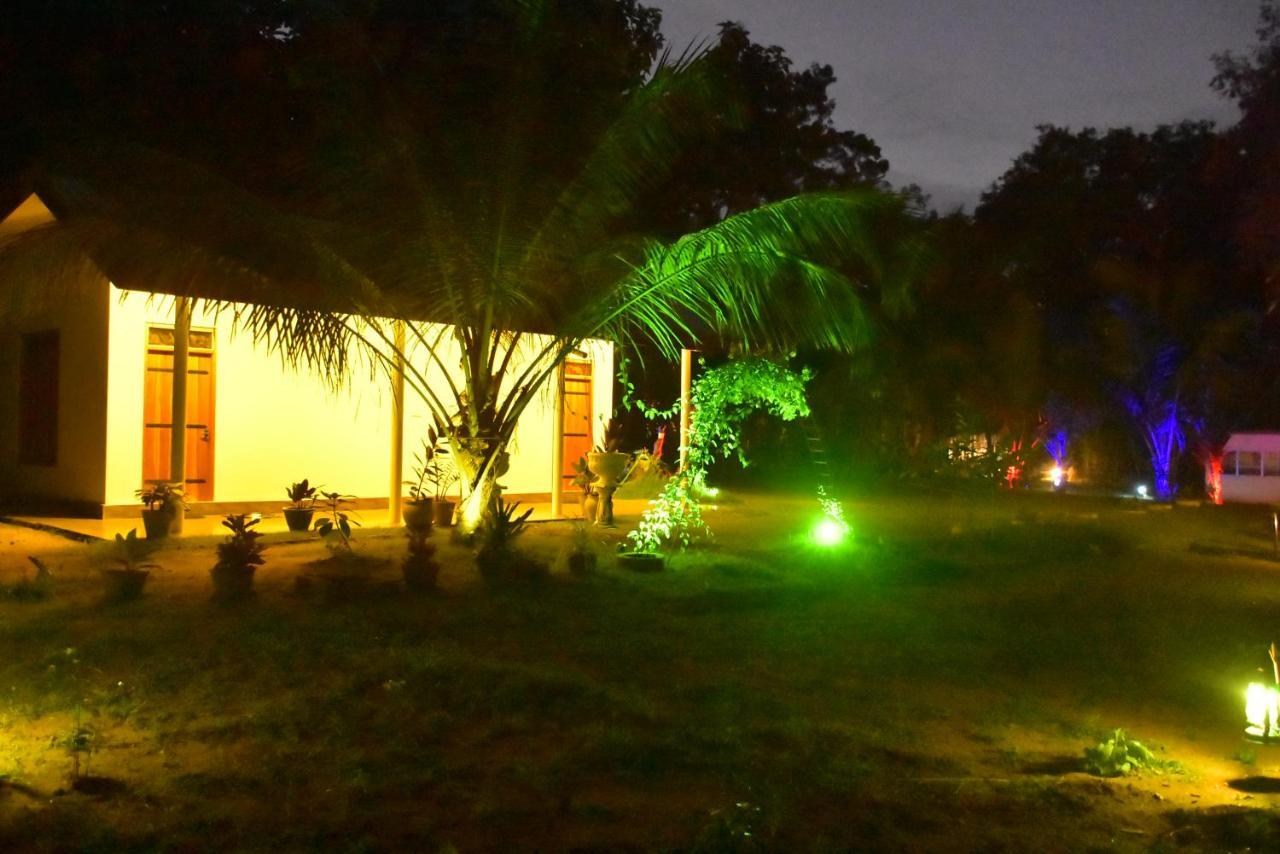 Little Ele Safari Lodge 达瓦拉维 外观 照片