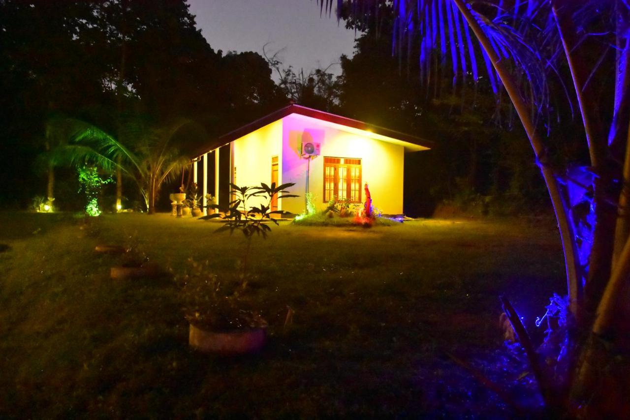 Little Ele Safari Lodge 达瓦拉维 外观 照片