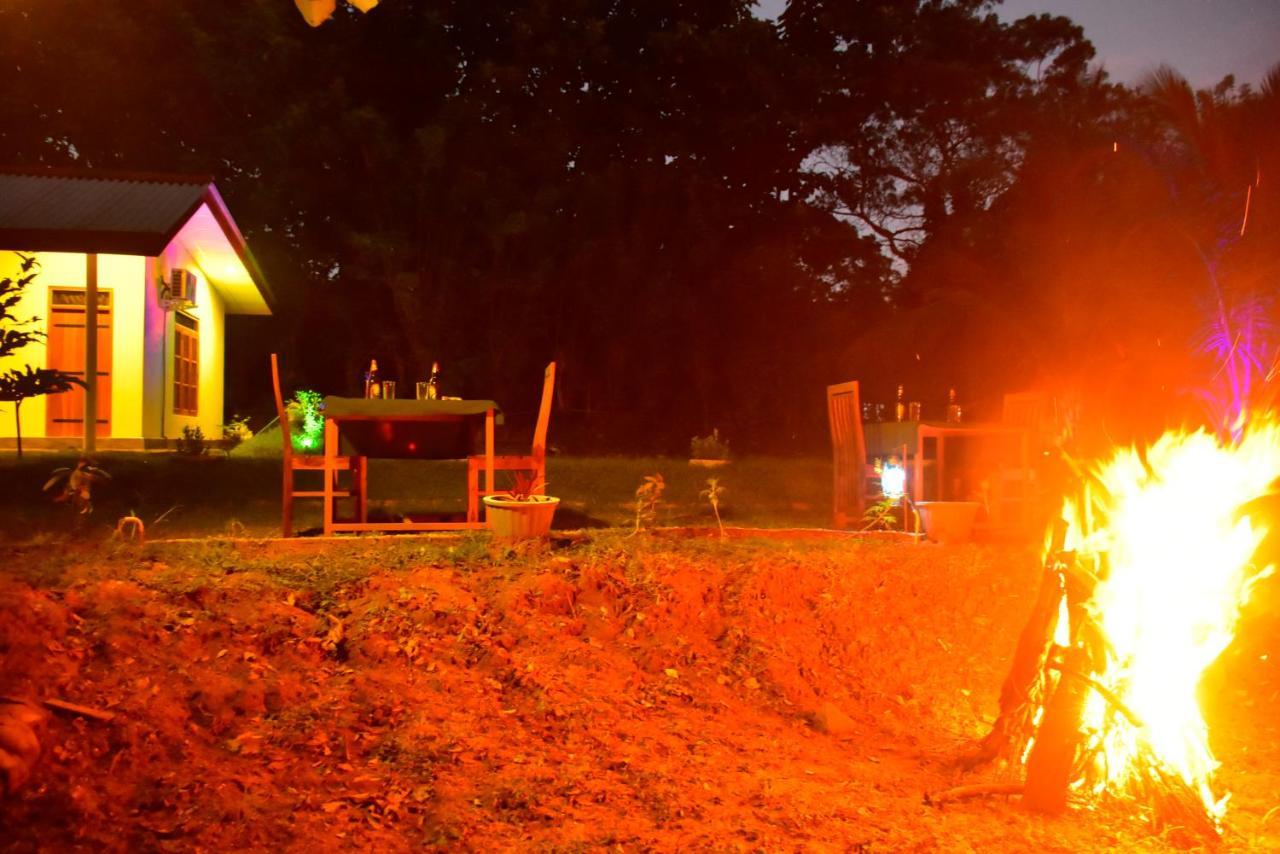 Little Ele Safari Lodge 达瓦拉维 外观 照片